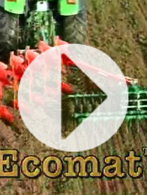 VIDEO KV Ecomat Short