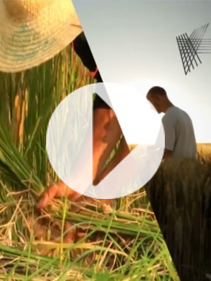 The Future of Farming corporate video 2021_9